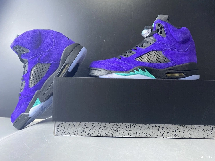 Grape” 136027-500 Jordan Air  5 “Alternate 0106